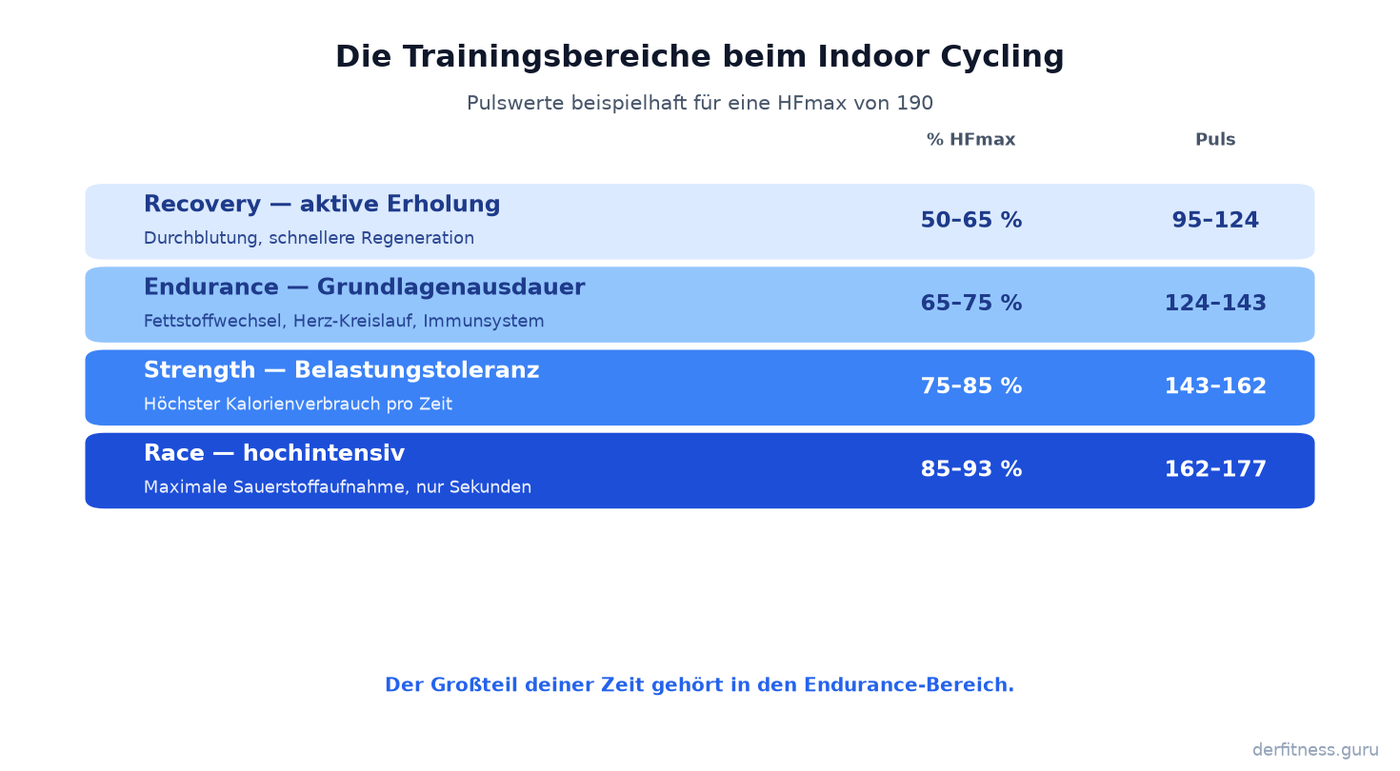Übersicht der vier Trainingsbereiche beim Indoor Cycling von Recovery bis Race mit Pulswerten und Wirkung