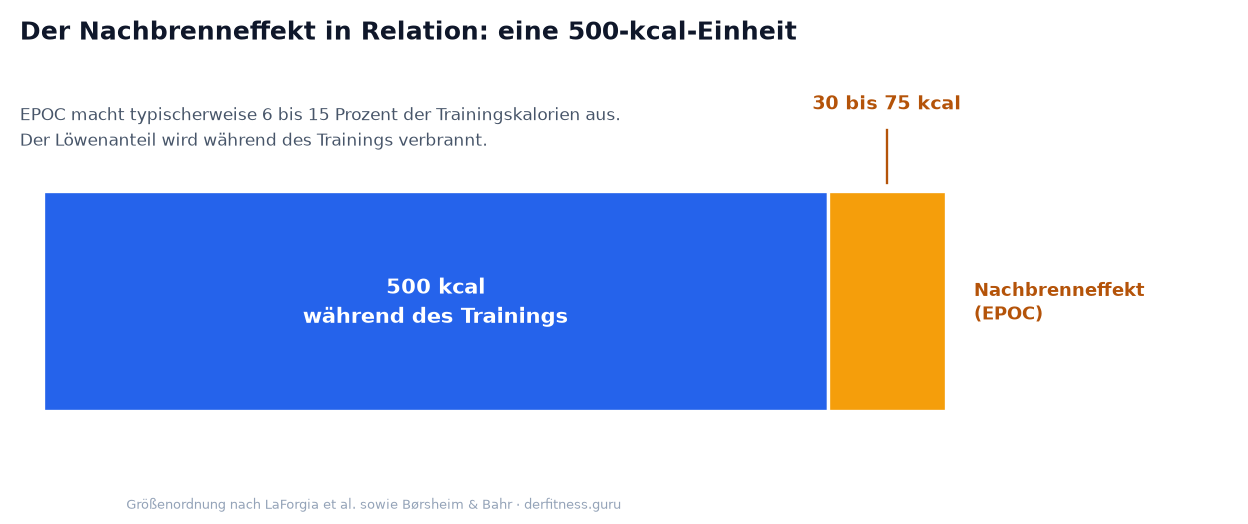Balkenvergleich: 500 Kalorien während des Trainings gegenüber 30 bis 75 Kalorien Nachbrenneffekt