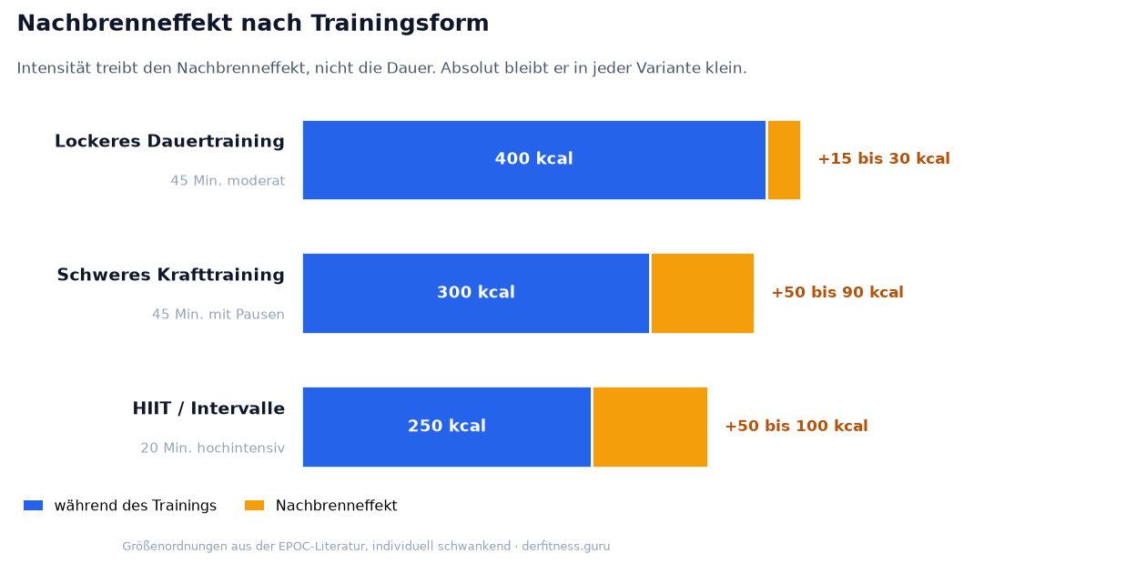 Vergleich des Nachbrenneffekts bei lockerem Dauertraining, schwerem Krafttraining und HIIT
