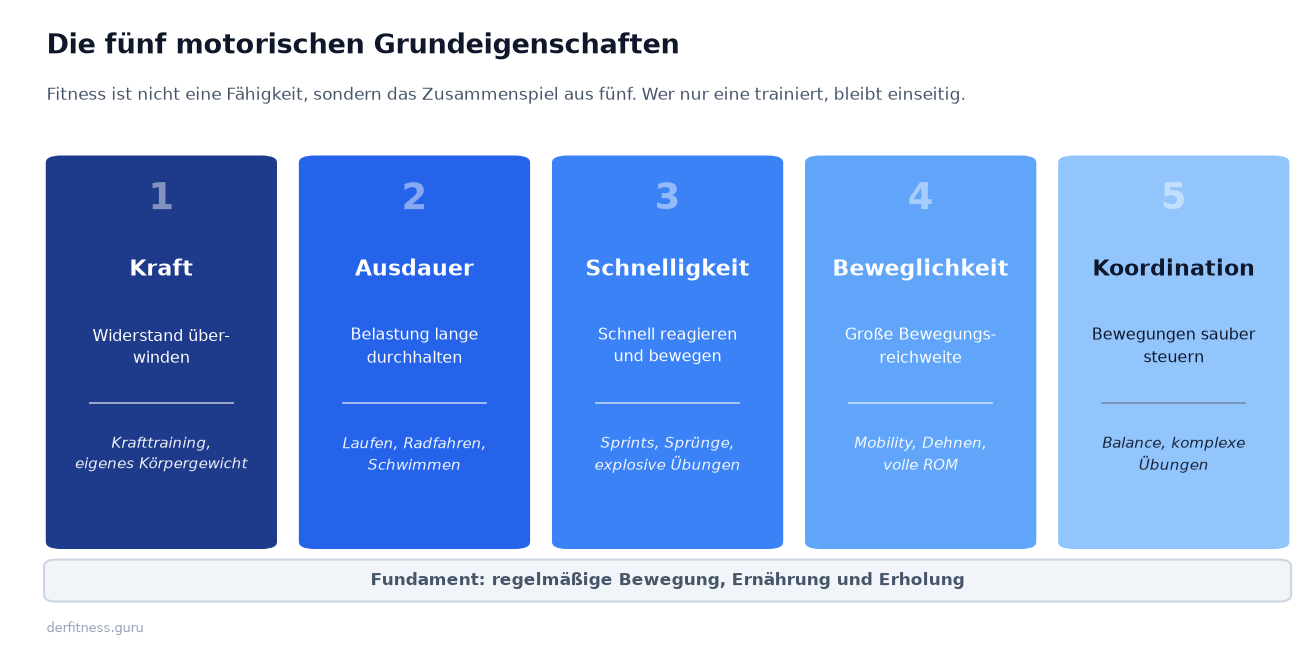 Die fünf motorischen Grundeigenschaften Kraft, Ausdauer, Schnelligkeit, Beweglichkeit und Koordination als Säulen-Schaubild