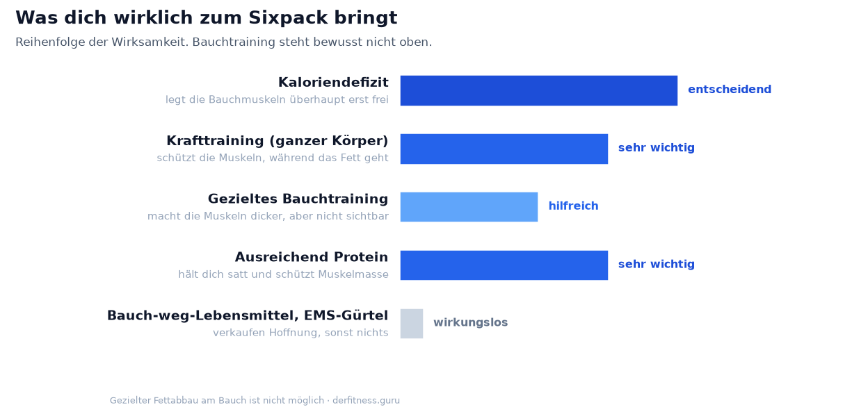 Wirksamkeit im Vergleich: Kaloriendefizit entscheidend, Krafttraining und Protein sehr wichtig, Bauchtraining hilfreich, Bauch-weg-Produkte wirkungslos