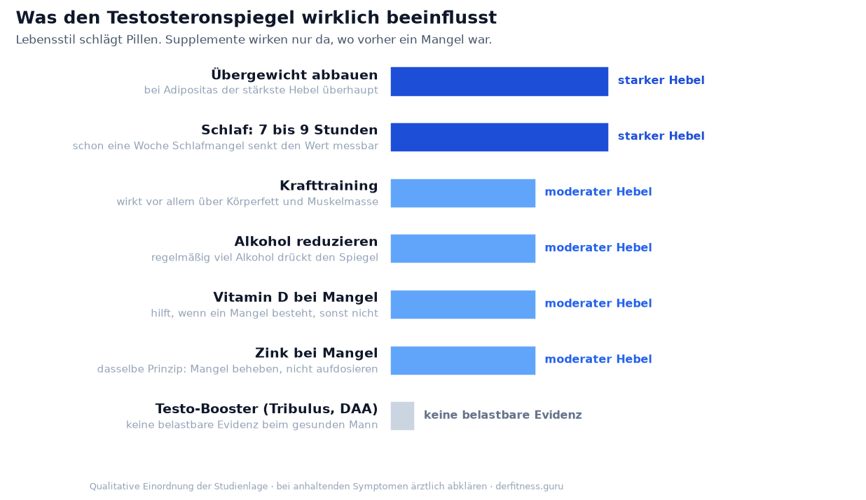 Übersicht der Hebel auf den Testosteronspiegel: Übergewicht und Schlaf stark, Krafttraining und Mikronährstoffe moderat, Testo-Booster ohne belastbare Evidenz